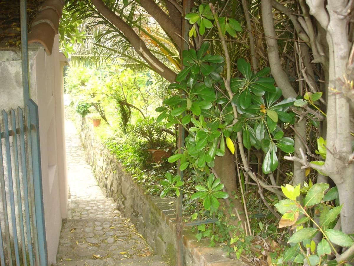 Sunflower Cosy Cottage Once Girasole Monterosso al Mare Exterior photo